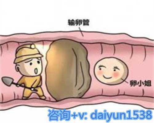 国内有代怀生子吗,移植前喝咖啡有没有影响？