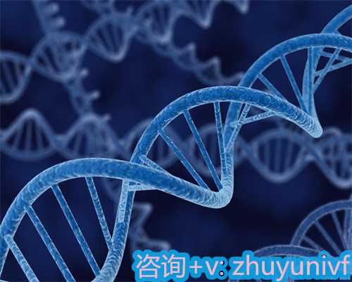 单身男性可以试管吗,深圳单身女性做第三代试管婴儿的准备指南！