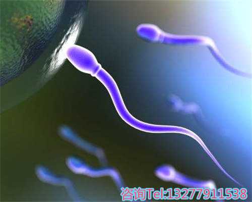 供卵包生男孩公司,深圳试管婴儿胚胎移植胚胎手术疼吗？