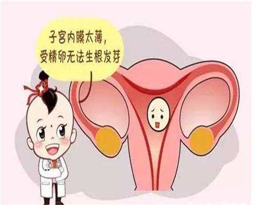 国内可以借卵生子的医院,广州2026年试管婴儿是否会纳入医保？要求解读与费用分析