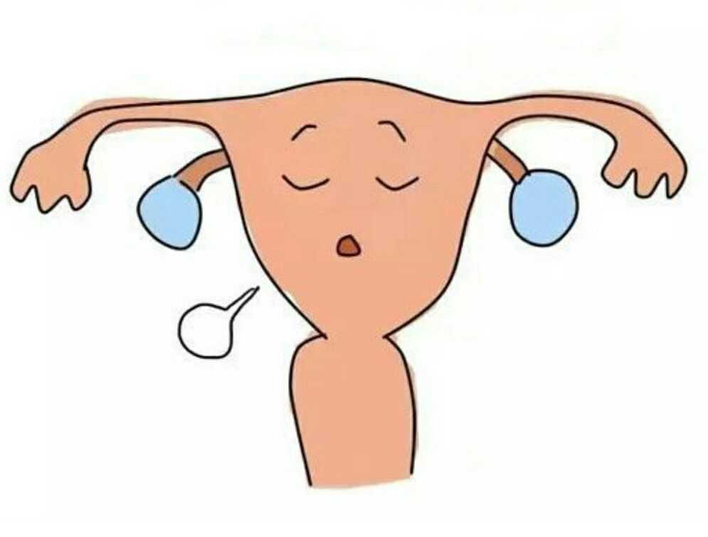 找人生孩子联系方式,做试管深圳社保能报销吗多少钱？