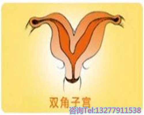 单身可以试管要个孩子吗,做试管打一个月**能提高卵子质量吗？