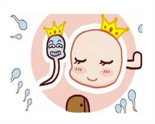 制定深圳试管婴儿方案时，如何评估子宫环境？