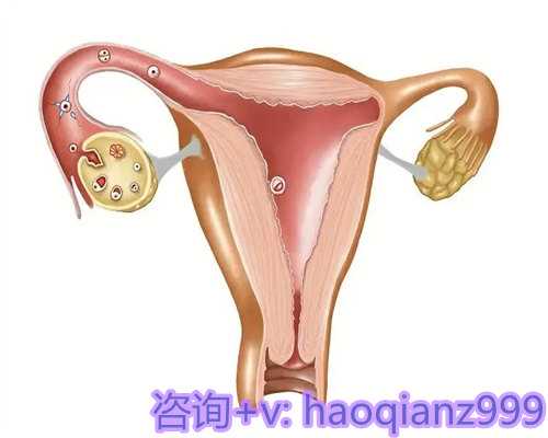 深圳供卵代生咨询,〖一岁宝宝晚上睡觉不踏实原因分析，学会这几招小孩安心入睡〗