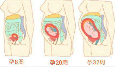 深圳诺芽国际医院做试管婴儿有什么优势