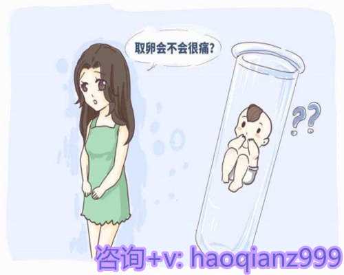 广州供卵代生咨询,广州三代试管婴儿成功率揭秘，附三代试管医院推荐