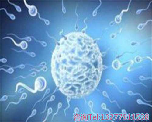 代孕费用最便宜,深圳 2026 试管婴儿成功率高达 60% 至 80%