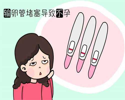 外地人在广州做试管怎么安排？从检查到移植的时间规划