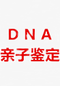 亲子签定
